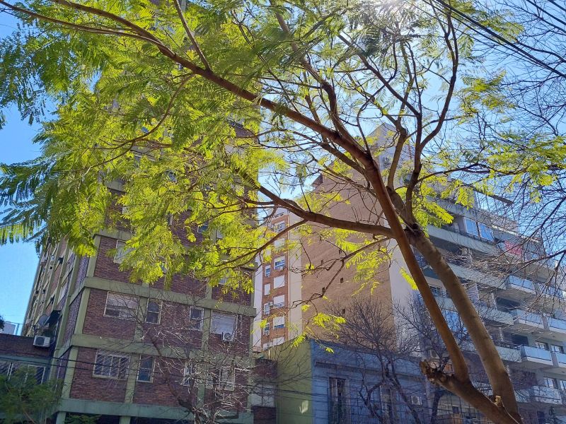 Nieto Lamas Inmuebles